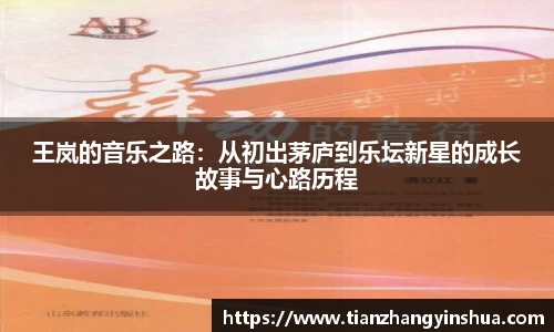 王岚的音乐之路：从初出茅庐到乐坛新星的成长故事与心路历程