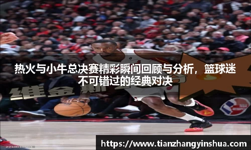热火与小牛总决赛精彩瞬间回顾与分析，篮球迷不可错过的经典对决