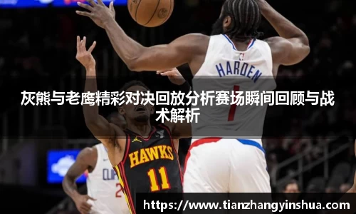 灰熊与老鹰精彩对决回放分析赛场瞬间回顾与战术解析